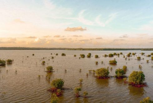 Flood damage inspections Texas